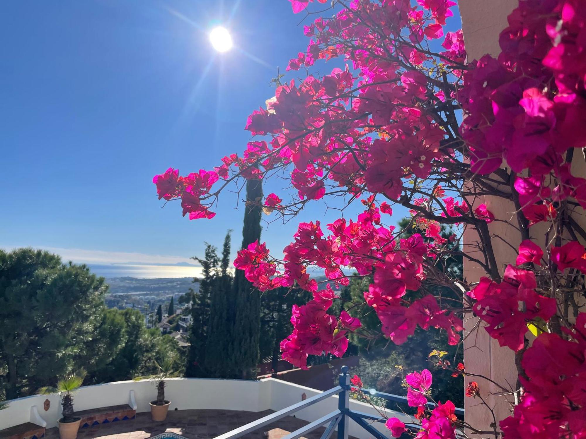 Boutique Hotel Maravilla - Marbella Benahavís Zewnętrze zdjęcie