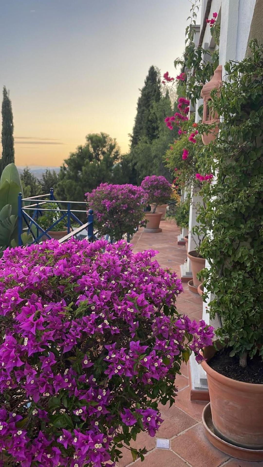 Boutique Hotel Maravilla - Marbella Benahavís Zewnętrze zdjęcie